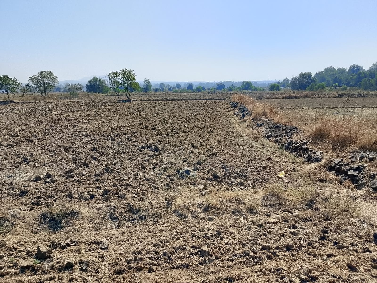Land For Sale in Commercial Plot 