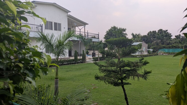 Garden, sector 135  1008 Sq.Yd. Plot In Sector 135 Noida 9076315