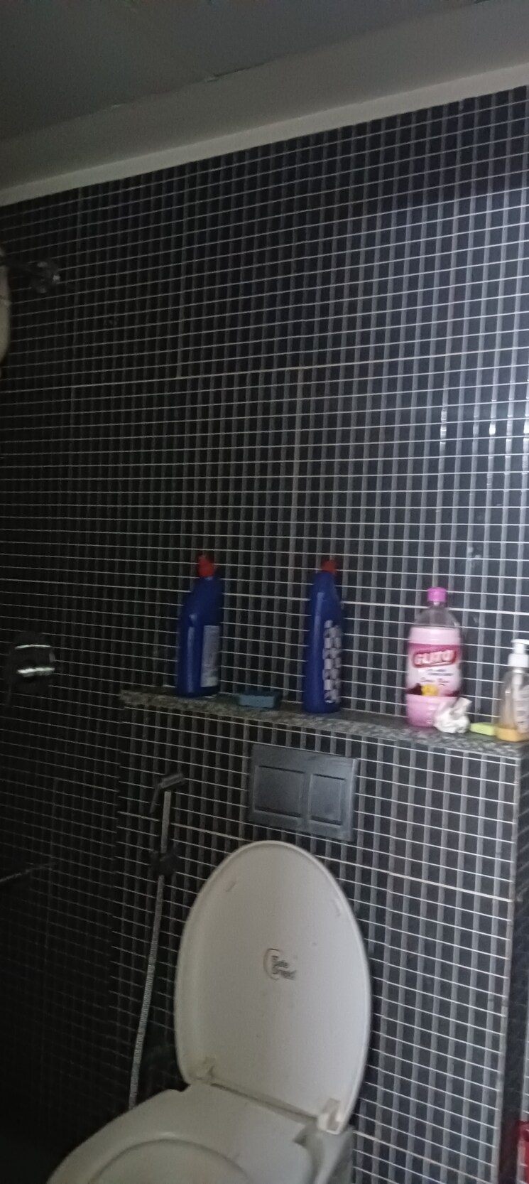 Exterior View, lodha-palava-downtown 2.5 Bedroom 738 Sq.Ft. Apartment In Dombivli East Thane 9076359