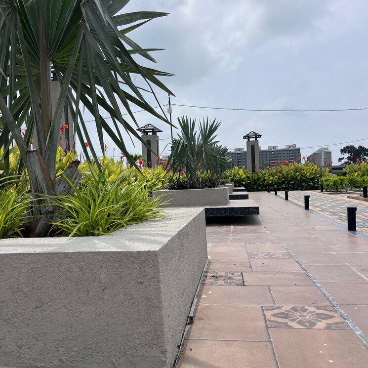 Balcony, bada bangarda  700 Sq.Ft. Plot In Bada Bangarda Indore 9076609