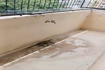 Balcony in 3 BHK Apartment at Lalpur – for Sale