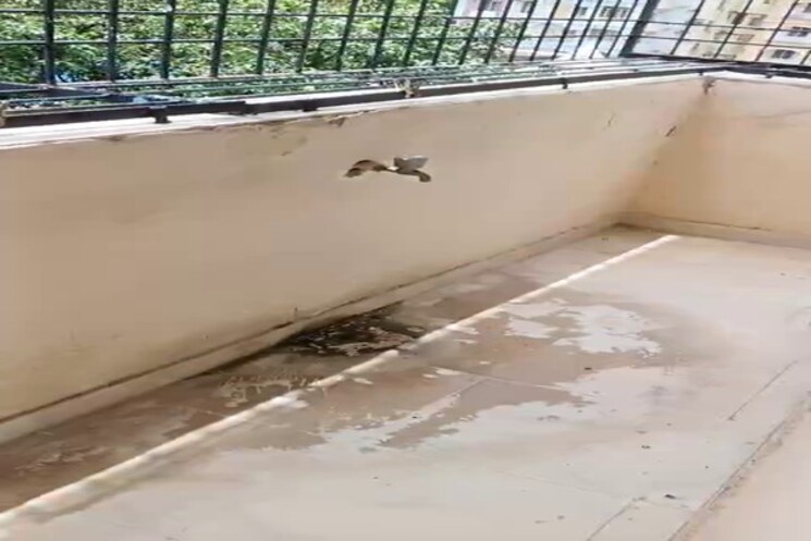 Balcony, lalpur 3 Bedroom 1394 Sq.Ft. Apartment In Lalpur Ranchi 9076578