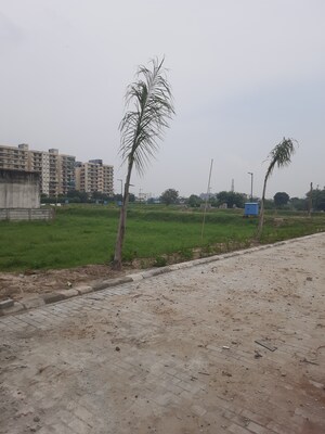  Plot – Exterior View View at Sector 63 - for Sale