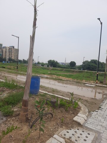  Plot – Exterior View View at Sector 63 - for Sale