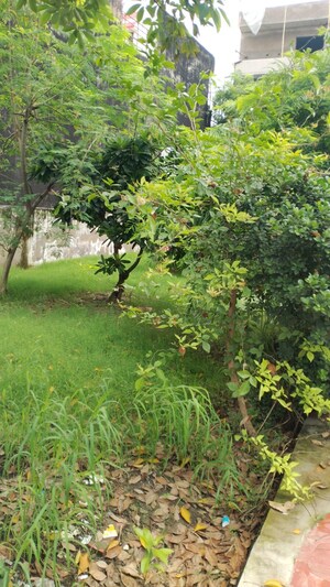  Plot For Sale in Sector 55