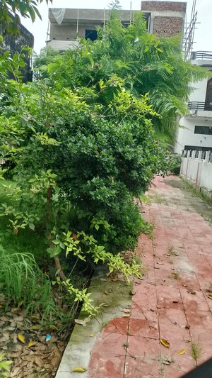 Plot Area in  Plot at Sector 55 – for Sale