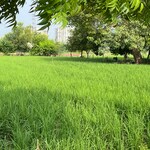 25 Acre Plot in Sector 108 Faridabad Rzon