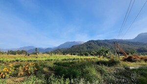  Plot For Sale in Ramnagar