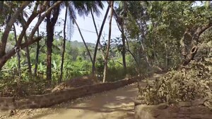 3 BHK Villa – Garden View at Siolim - for Sale