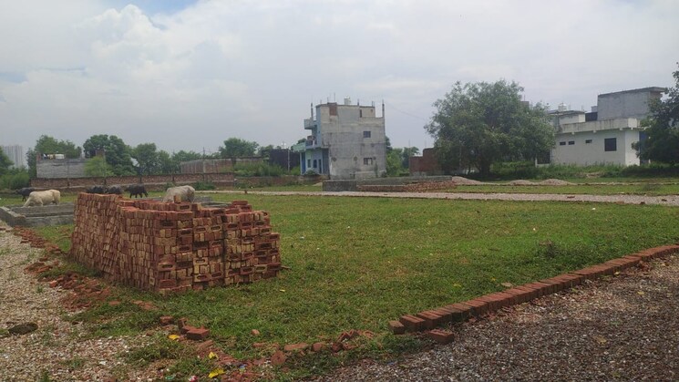 Garden, parthala khanjarpur  50 Sq.Yd. Plot In Parthala Khanjarpur Noida 9076980