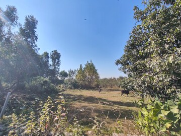 Plot Area in  Land at Ramnagar – for Sale