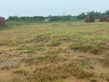  Land For Sale in Barsana