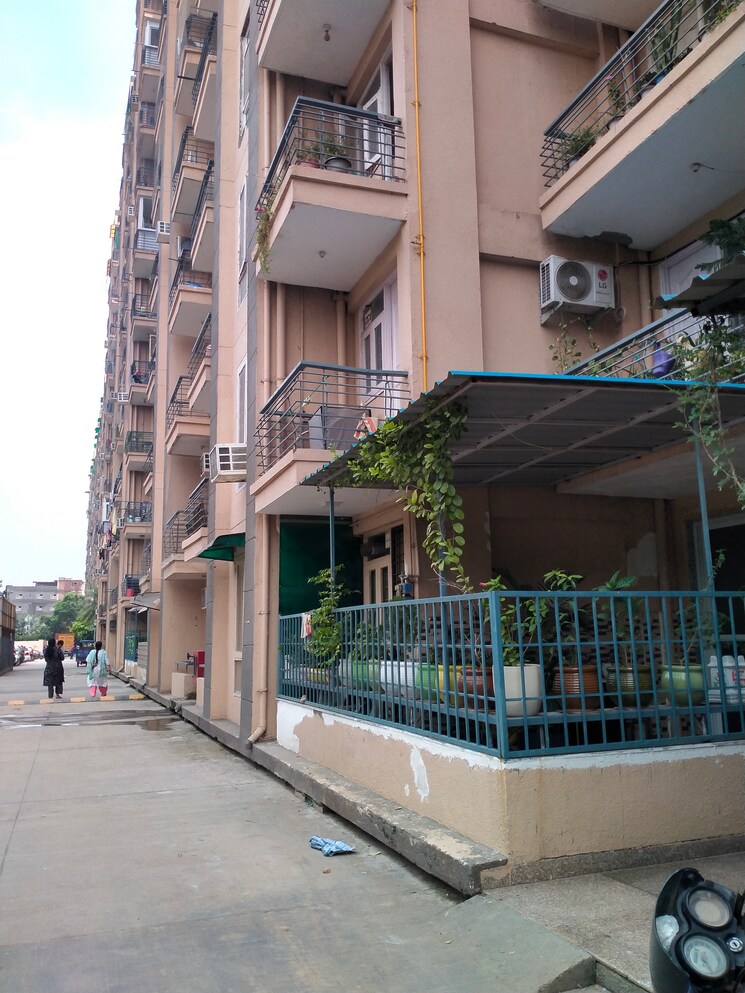 Exterior View, tulip-white 3 Bedroom 1326 Sq.Ft. Apartment In Sector 69 Gurgaon 9077621