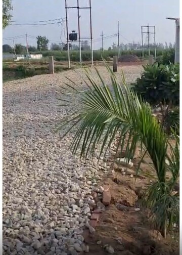 Plot Area in  Plot at Rohta Road – for Sale