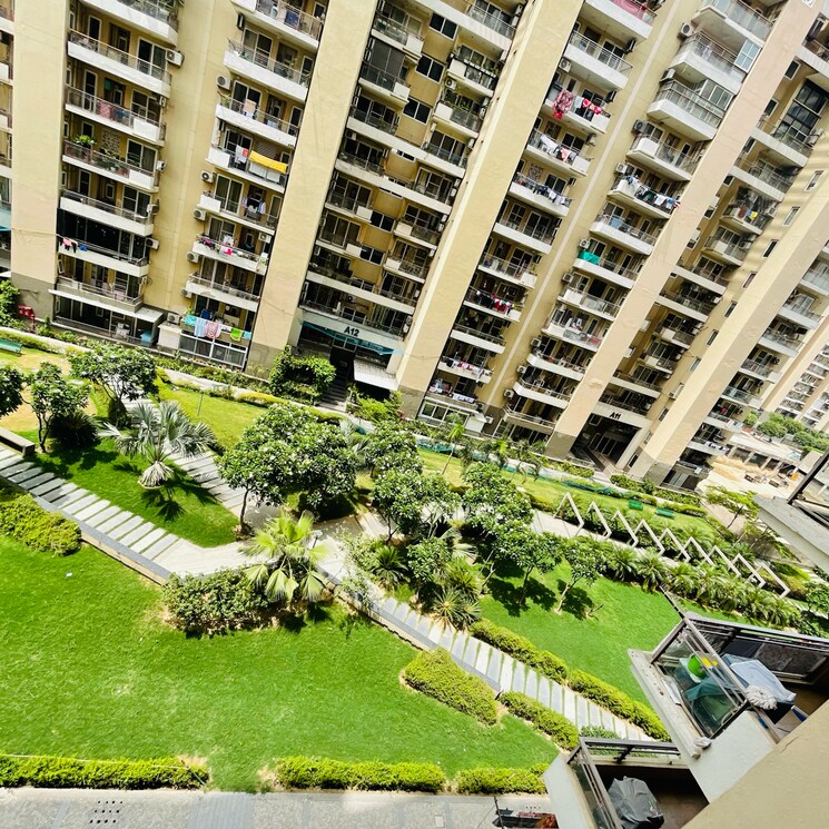 Exterior View, tulip-violet 3 Bedroom 1578 Sq.Ft. Apartment In Palda Dhaani Gurgaon 9077779