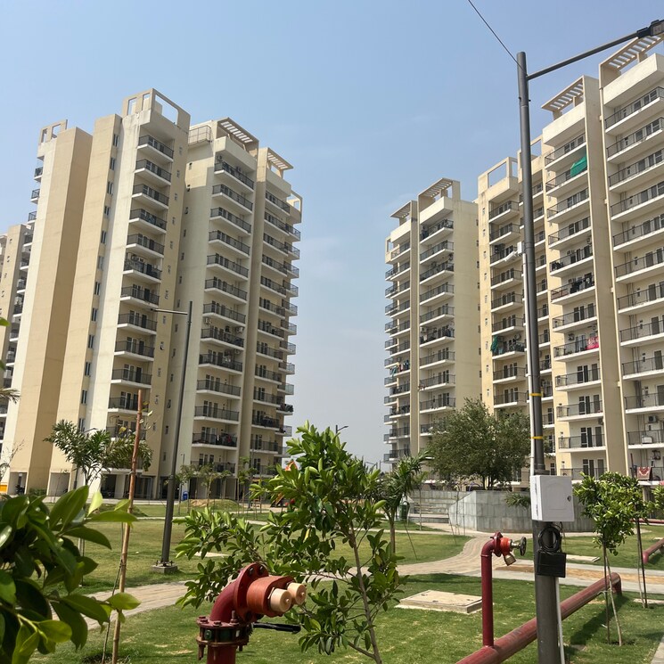 Exterior View, gls-arawali-homes-phase-2 3 Bedroom 746 Sq.Ft. Apartment In Sohna Sector 4 Gurgaon 9077881