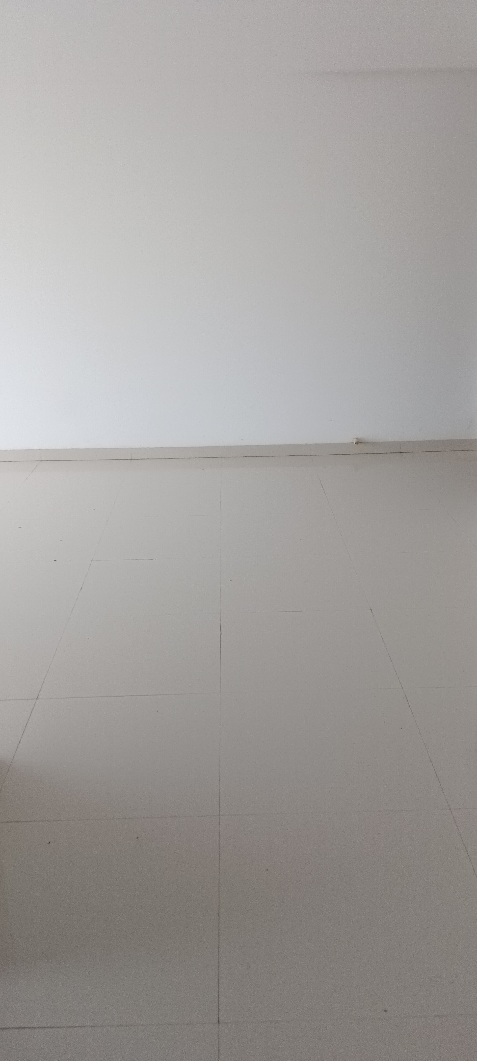 2 BHK Apartment For Rent in Nahar Amrit Shakti