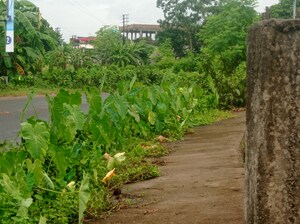  Plot – Exterior View View at Baruipur - for Sale