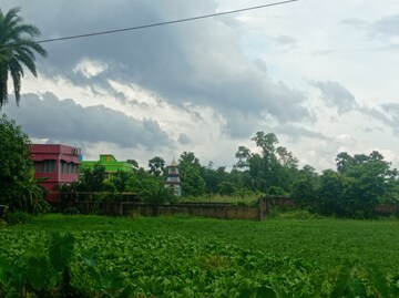  Plot For Sale in Baruipur