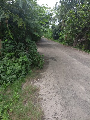  Plot – Exterior View View at Sonarpur - for Sale