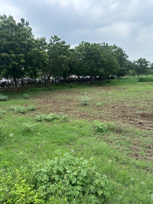 Plot Area in  Plot at Kunchanapalli – for Sale