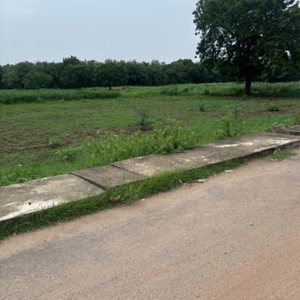 Plot Area in  Plot at Punadipadu – for Sale