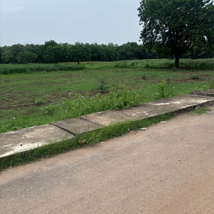 undefined, punadipadu  189 Sq.Yd. Plot In Punadipadu Vijayawada 9078274