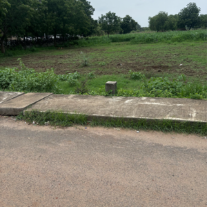 Plot Area in  Plot at Punadipadu – for Sale