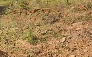 Plot For Sale in Mansanpalle