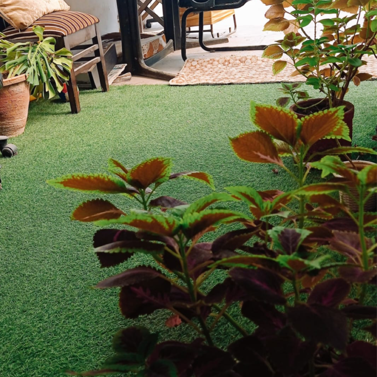 Balcony, greater kailash i 1 Bedroom 800 Sq.Ft. Builder Floor In Greater Kailash I Delhi 9078365