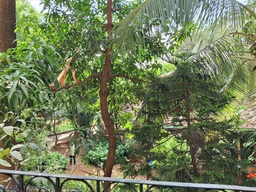 2 BHK Apartment – Garden View at Kalpak Hormuz, Bandra West - for Rent