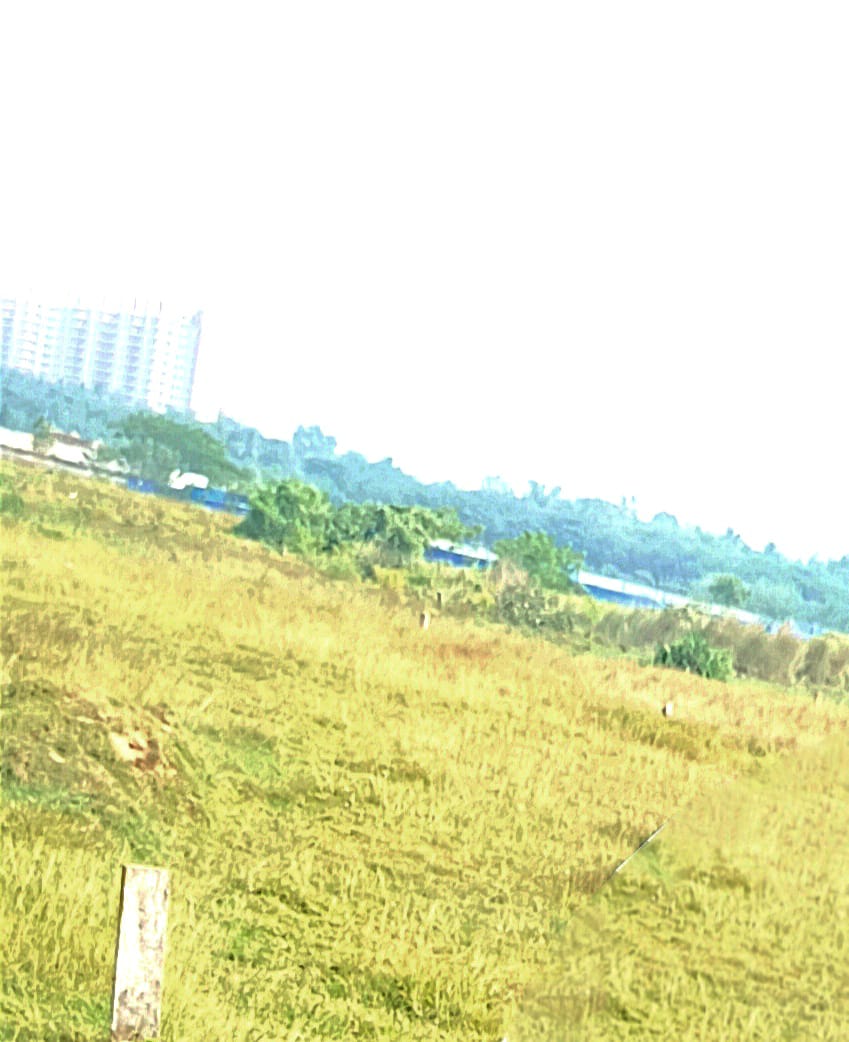 Plot For Sale in Kalinganagar