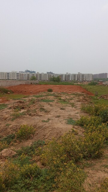 Plot Area in  Plot at Sijuput – for Sale