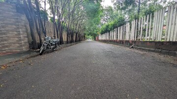 Plot Area in  Plot at Sector 135 – for Sale