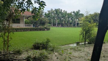 Plot Area in  Plot at Sector 135 – for Sale