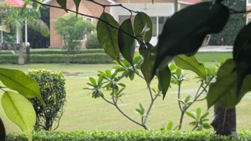 Plot Area in  Plot at Sector 135 – for Sale