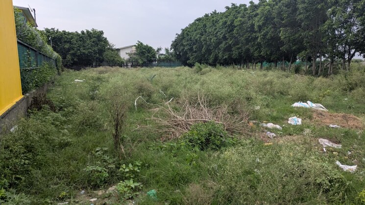 undefined, sector 150  2016 Sq.Ft. Plot In Sector 150 Noida 9078528