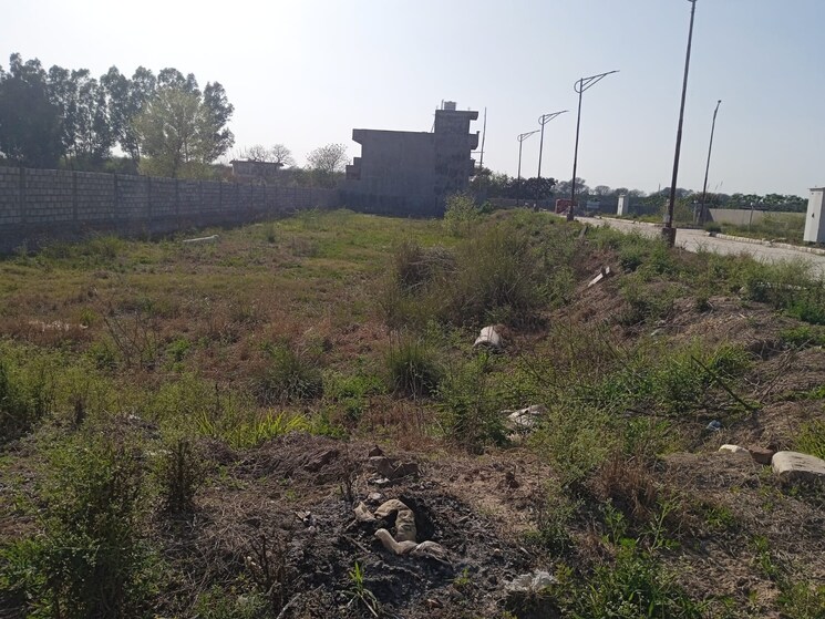 undefined, sector 111  250 Sq.Yd. Plot In Sector 111 Mohali 9078677