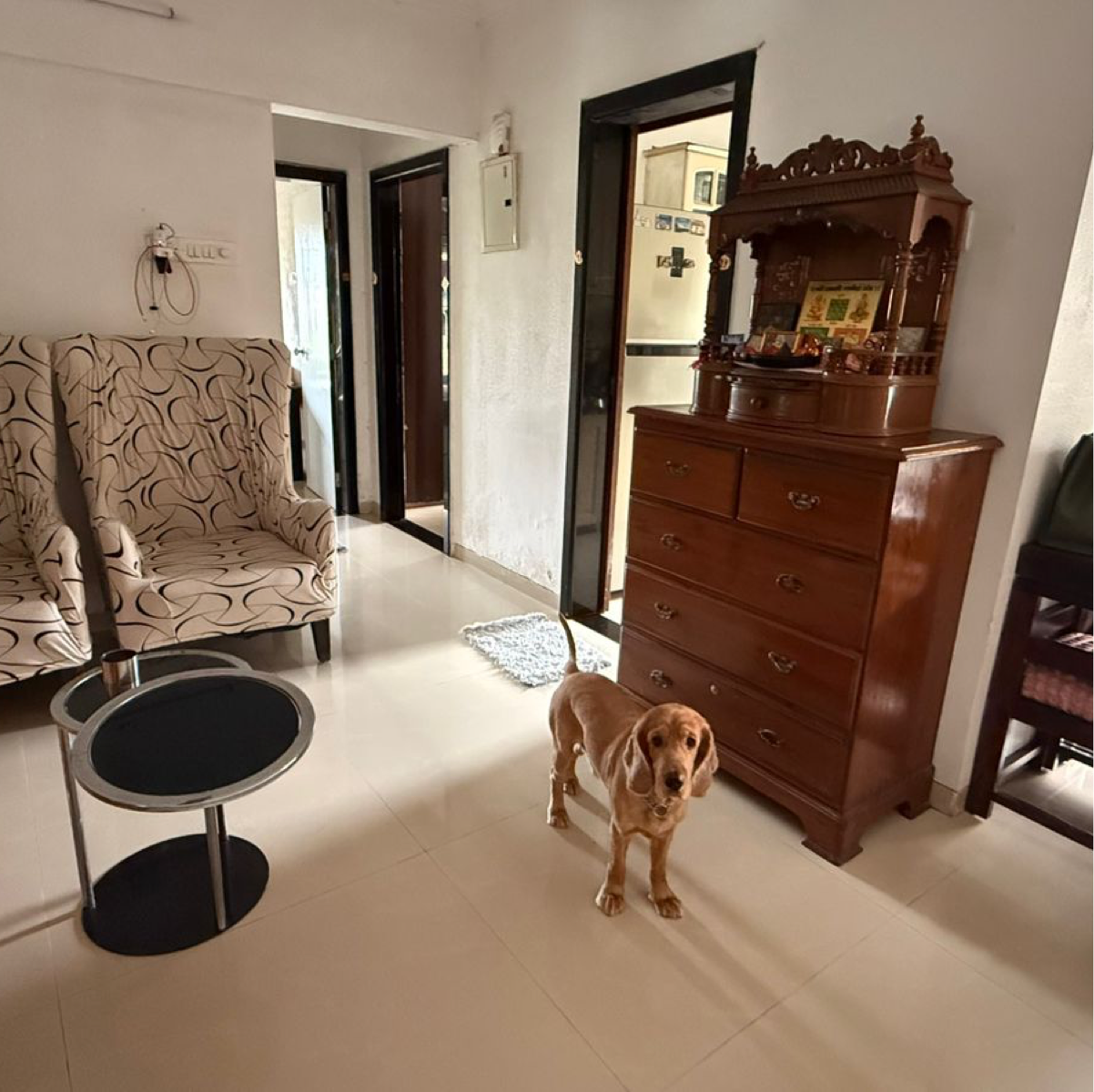 3 BHK Apartment For Rent in Evershine Greens Chs