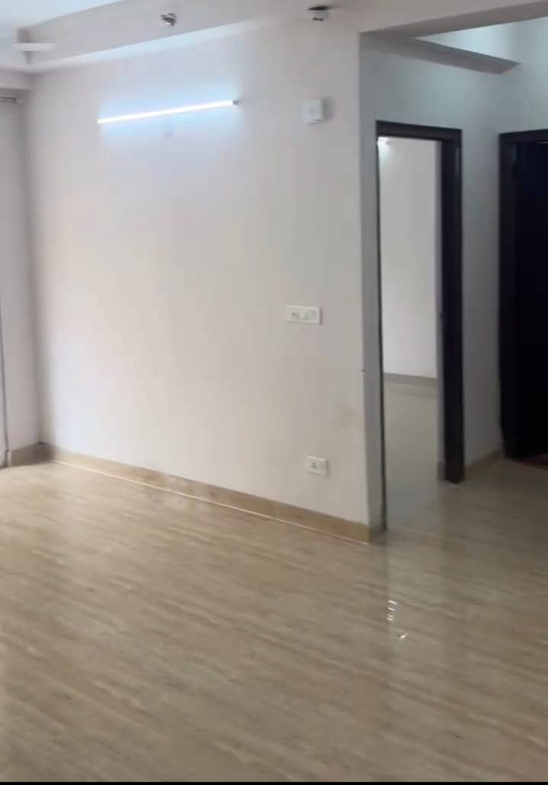 2 BHK Apartment For Rent in Amrapali Golf Homes