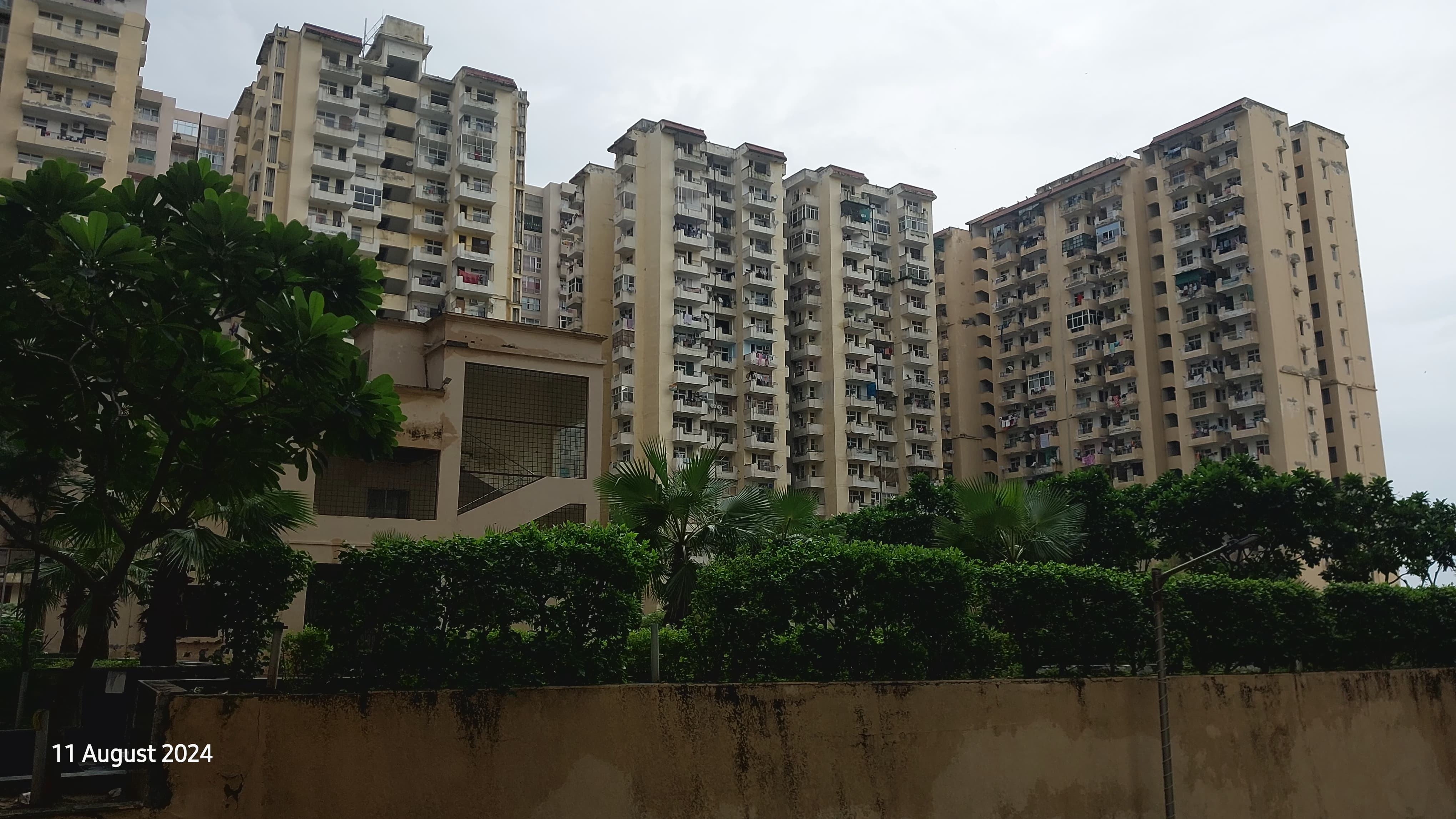 3 BHK Apartment For Rent in Zeta I Greater Noida