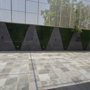  6 BHK Villa at Chattarpur – for Sale