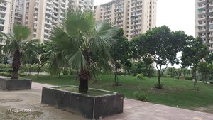 3 BHK Apartment – Exterior View View at Zeta I Greater Noida - for Sale