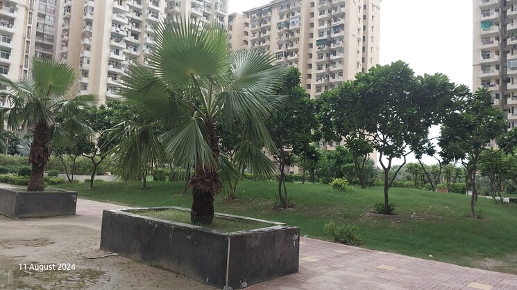 Exterior View, zeta i greater noida 3 Bedroom 1350 Sq.Ft. Apartment In Zeta I Greater Noida Greater Noida 9079089