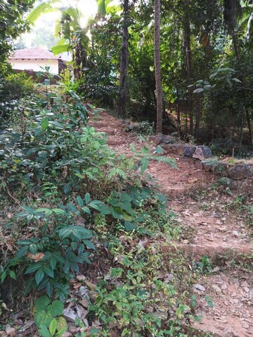 Plot Area in  Plot at Bajal – for Sale