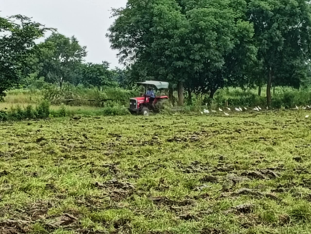 Plot For Sale in Plots Near Atalpuram Town