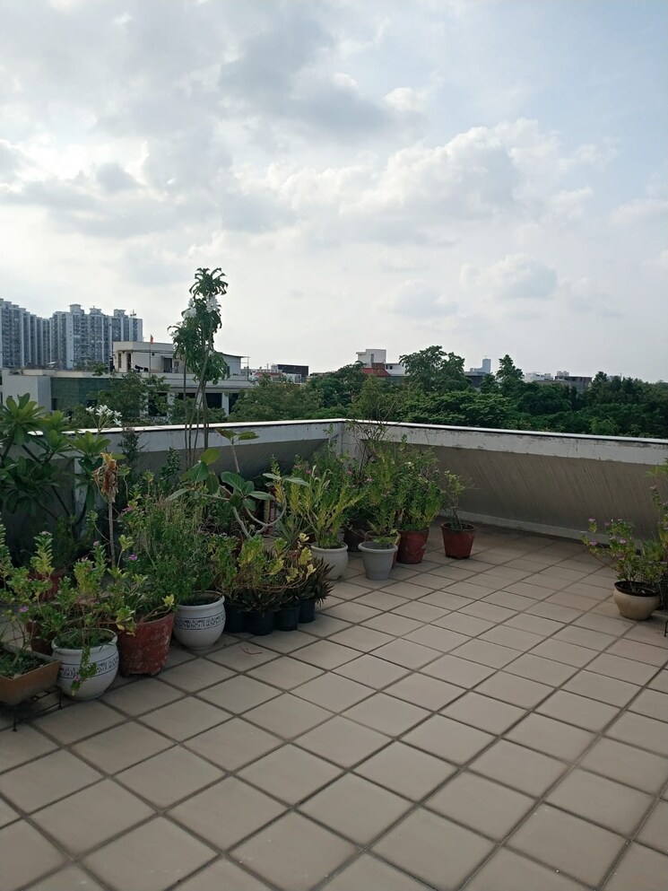 Balcony, rwa-apartments-sector-47 2 Bedroom 1750 Sq.Ft. Builder Floor In Sector 47 Noida 9079303