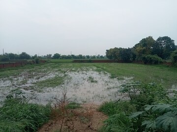  Land For Sale in Samalkha