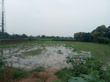 Plot Area in  Land at Samalkha – for Sale