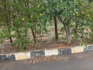  Plot For Sale in Nandigama